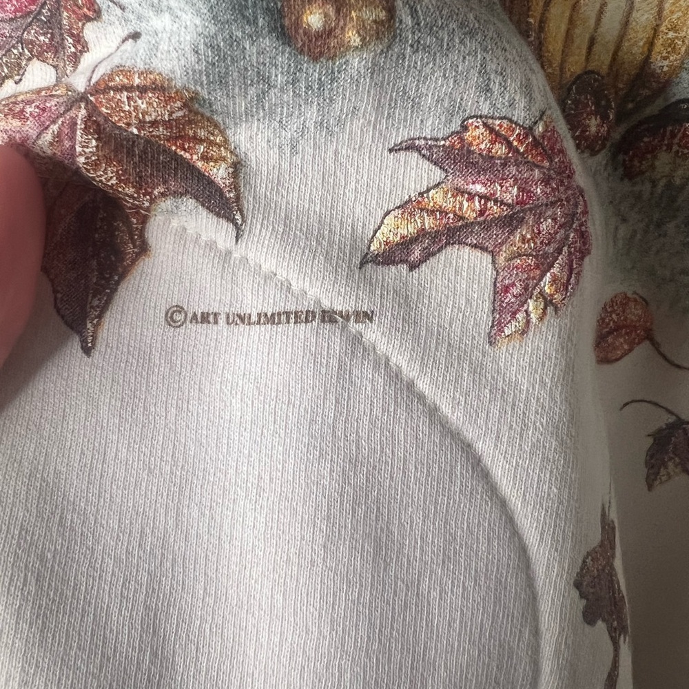 Vintage Art Unlimited Fall in Colorado Graphic Crewneck - Picture 4 of 4
